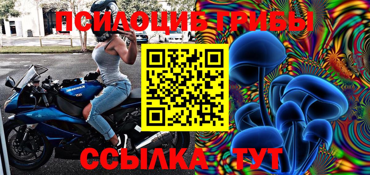 купить наркоту  Галлюциногенные грибы GOLDEN TEACHER  Бутурлиновка  Вход с VPN  Псилоцибиновые грибы прущие грибы 